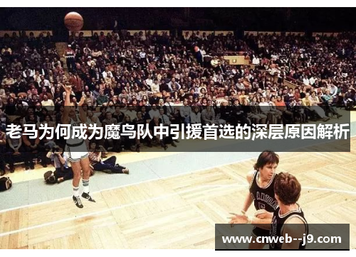 老马为何成为魔鸟队中引援首选的深层原因解析